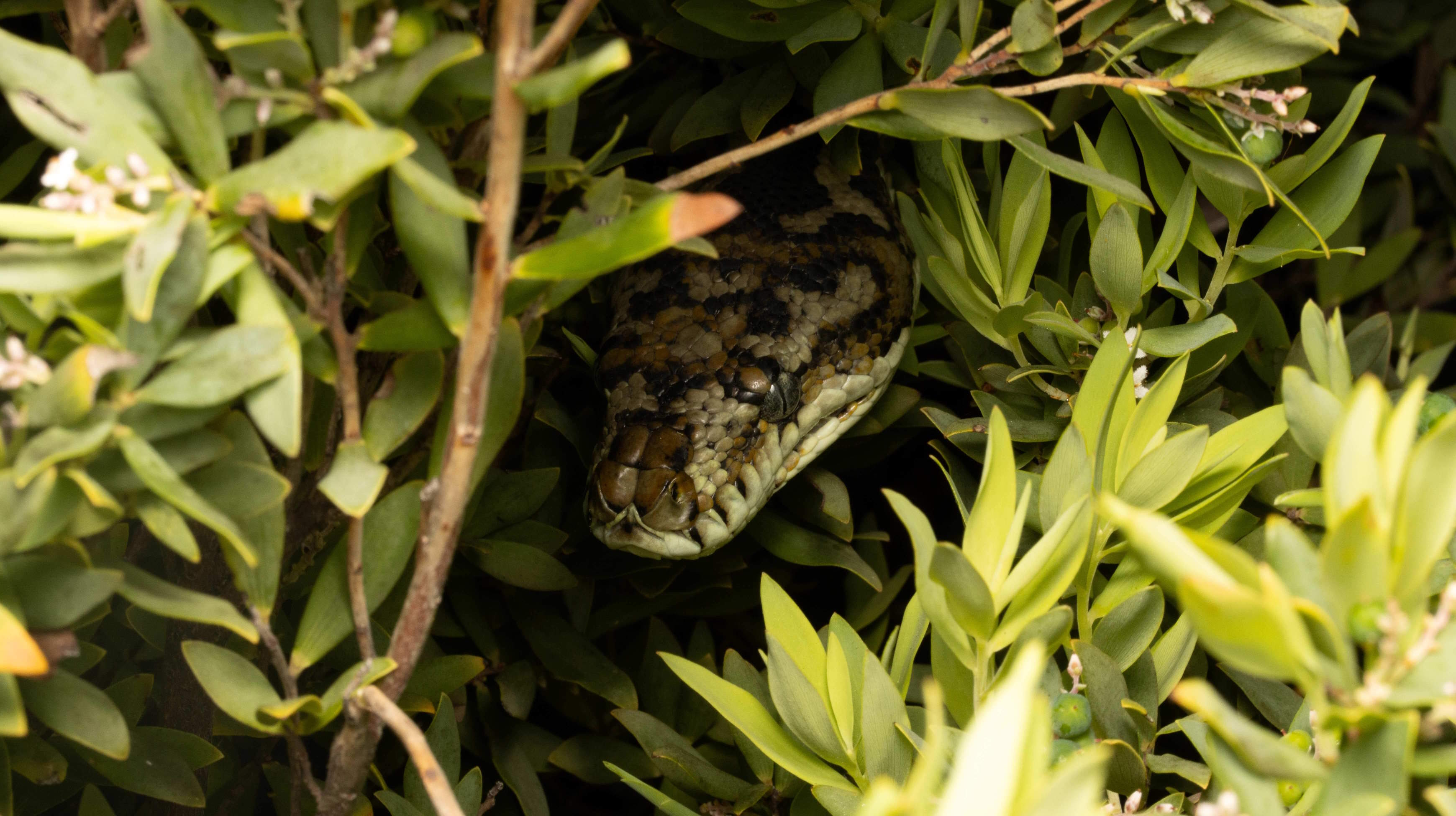 Licensing illustration photo #2